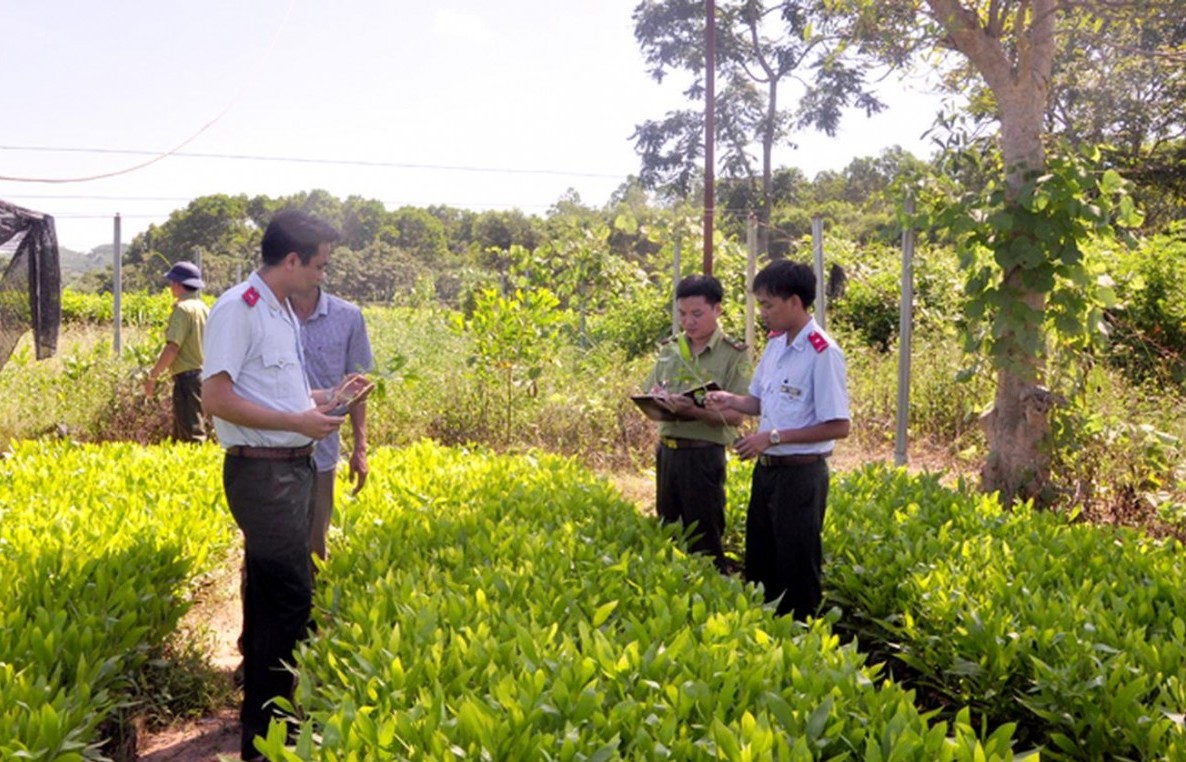 Kiện toàn chức năng thanh tra ngành nông nghiệp và môi trường