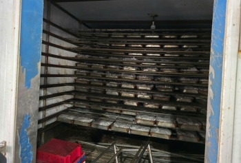 Tạm giữ hơn 13 tấn chân gà ngâm hóa chất