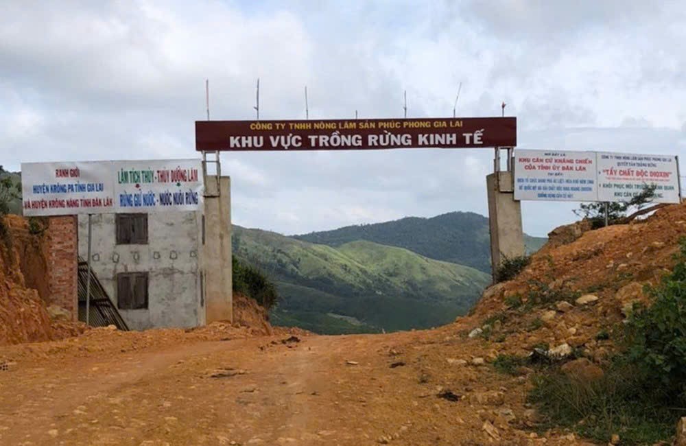 Gia Lai: Xét xử phúc thẩm vụ hủy hoại rừng tại Ban Quản lý rừng phòng hộ Nam Sông Ba