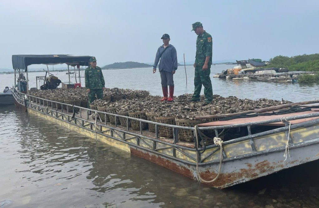 Quảng Ninh: Bắt bè vận chuyển trái phép 4 tấn hàu từ Trung Quốc về Việt Nam