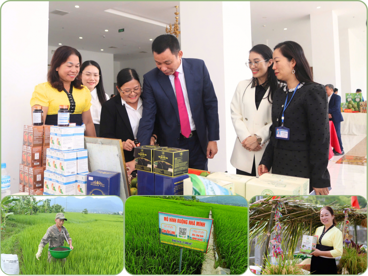 Phép cộng bền vững cho nông nghiệp miền núi - Bài 2: Duy trì chất lượng đường dài