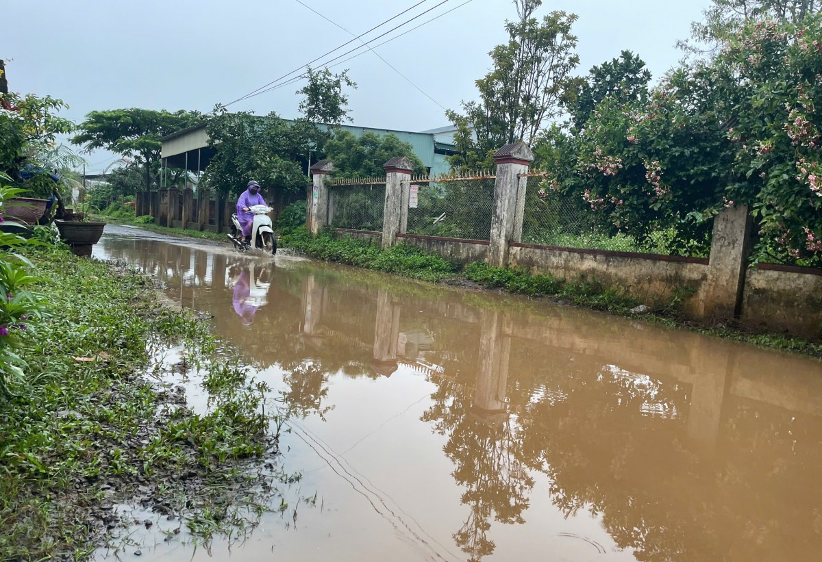 Gia Lai: Đường Phó Đức Chính thường xuyên bị ngập sâu mỗi khi mưa lớn