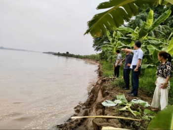 Ảnh hưởng mưa lớn nhiều nơi ven sông tại Phú Thọ bị sạt lở nghiêm trọng