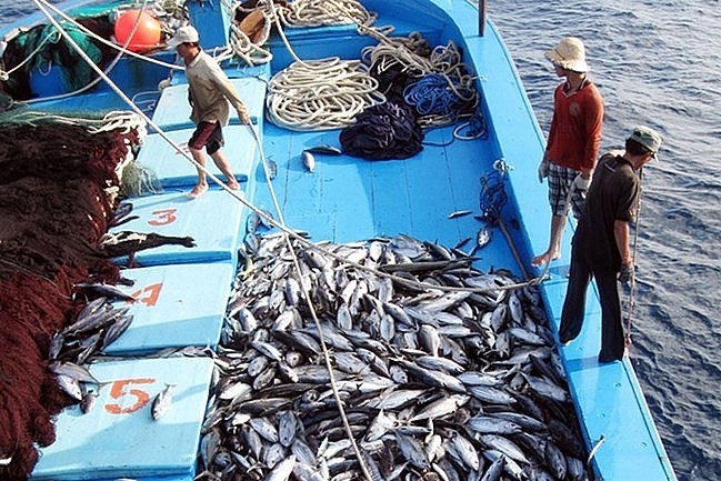 Hải Phòng quyết tâm gỡ thẻ vàng EU: Những chuyển biến tích cực và giải pháp đồng bộ
