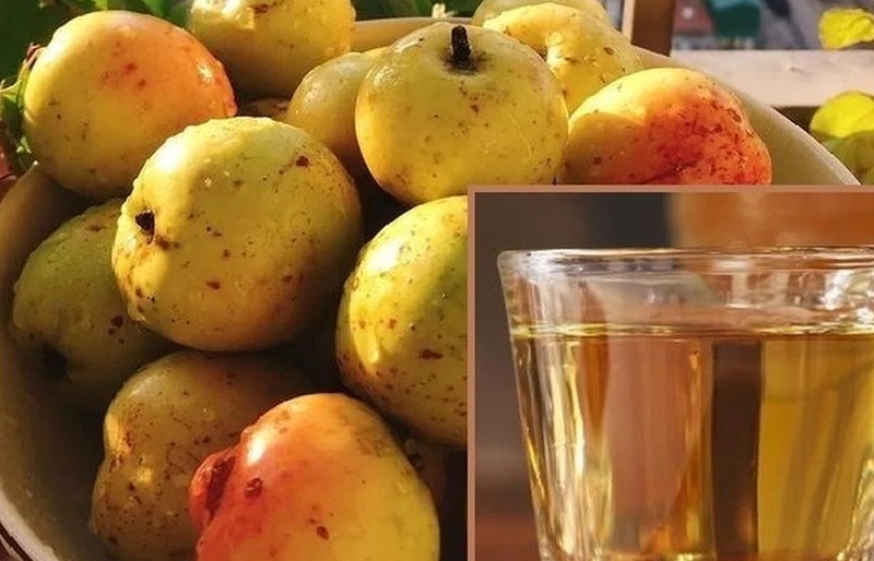 Rượu Táo Mèo - Đồ uống mang đậm nét tinh hoa của núi rừng