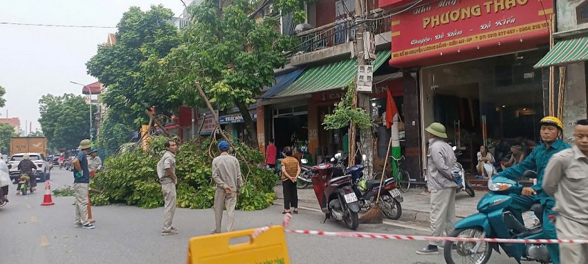 Hải Phòng: Chủ động ứng phó khẩn cấp với cơn bão số 3 Wipha