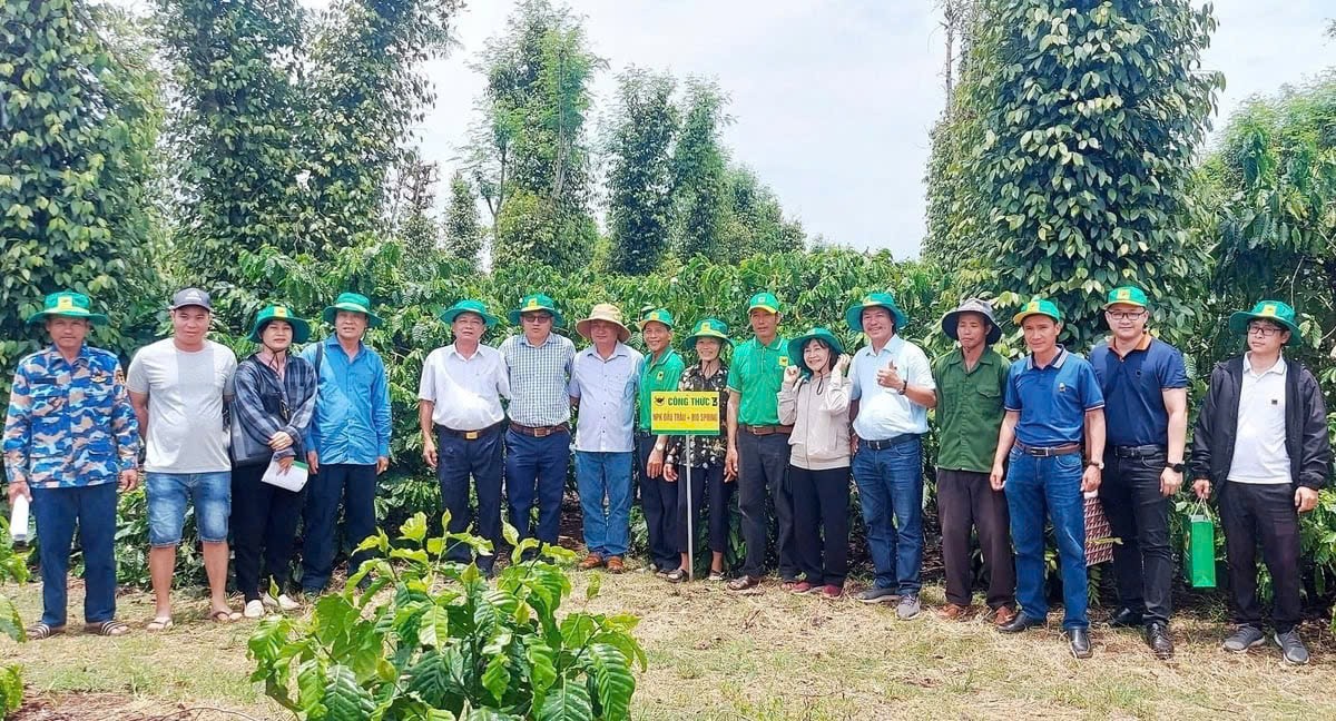 Đắk Lắk: Sở Nông nghiệp và Môi trường nỗ lực tinh gọn bộ máy sau sáp nhập
