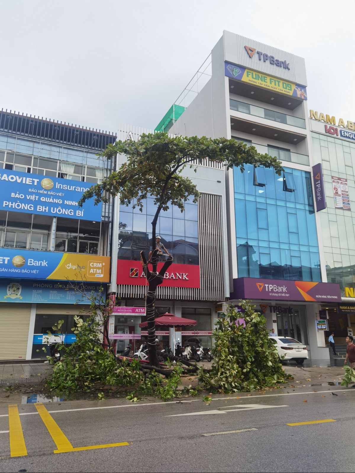 Quảng Ninh: Sẵn sàng ứng phó cơn bão số 3