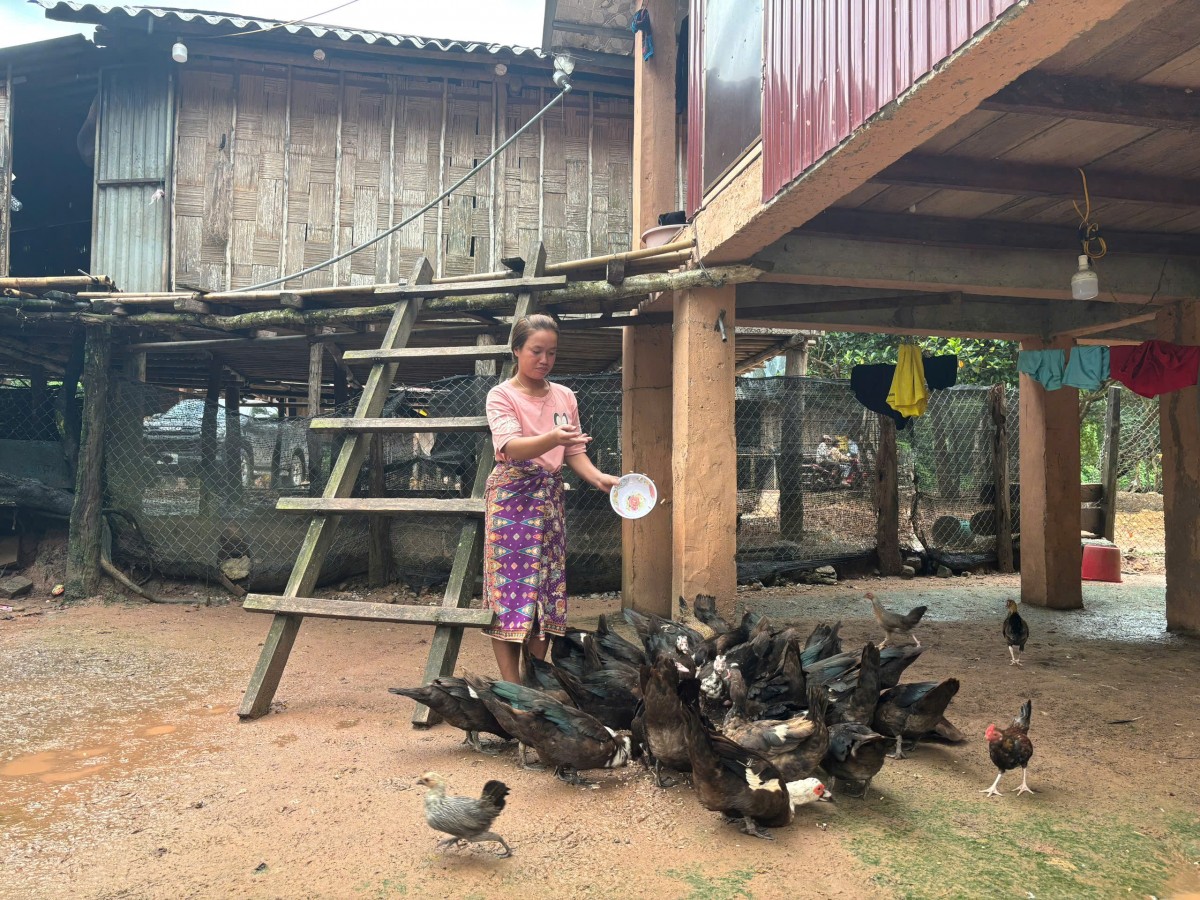 Quảng Trị: Gần 6 tỷ đồng hỗ trợ bà con DTTS Ma Coong phát triển kinh tế