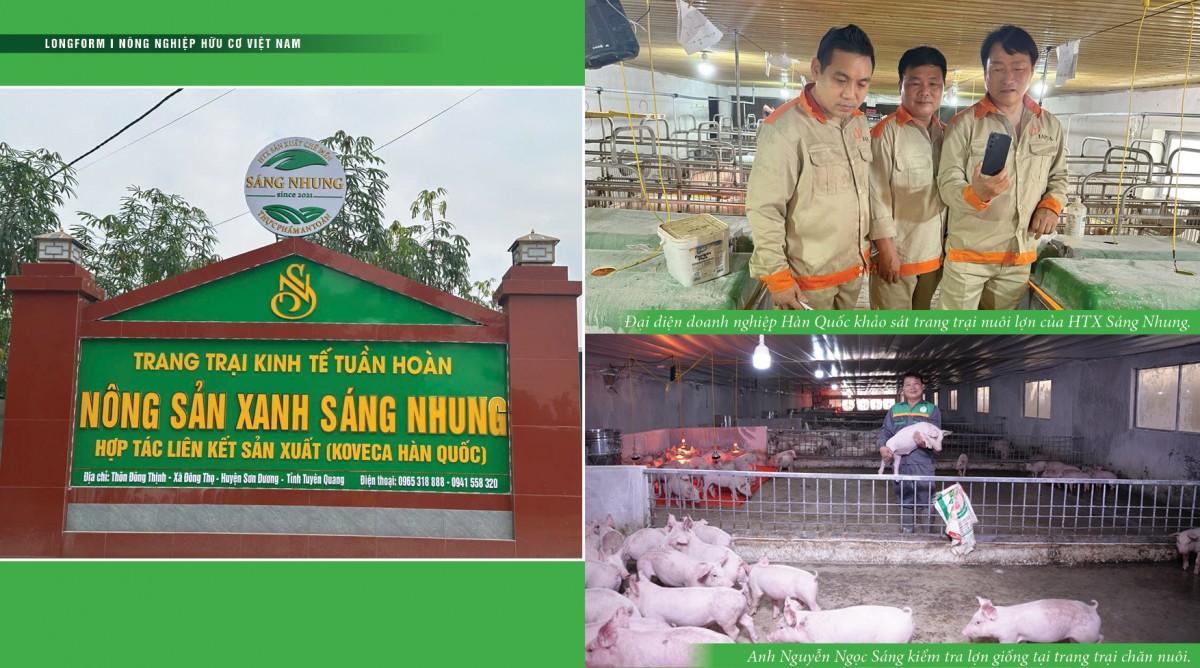“Nông dân xuất sắc” Nguyễn Ngọc Sáng: Làm Nông nghiệp là làm thật, không làm thử