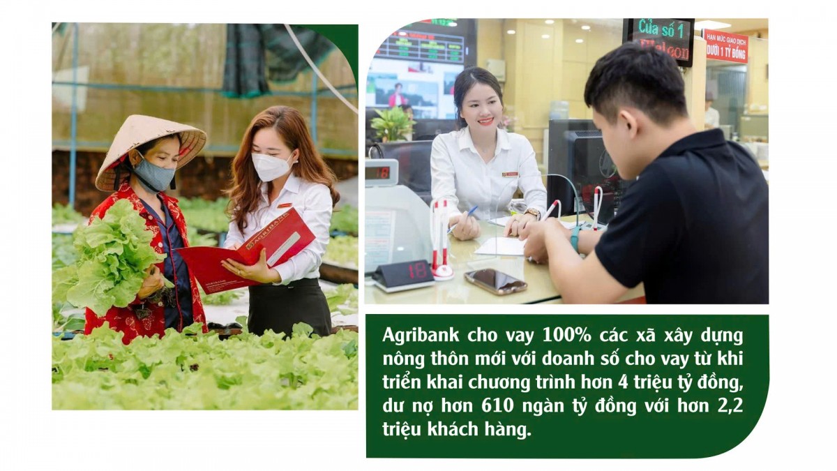 Tín dụng xanh “thắp lửa” cho nông nghiệp hữu cơ