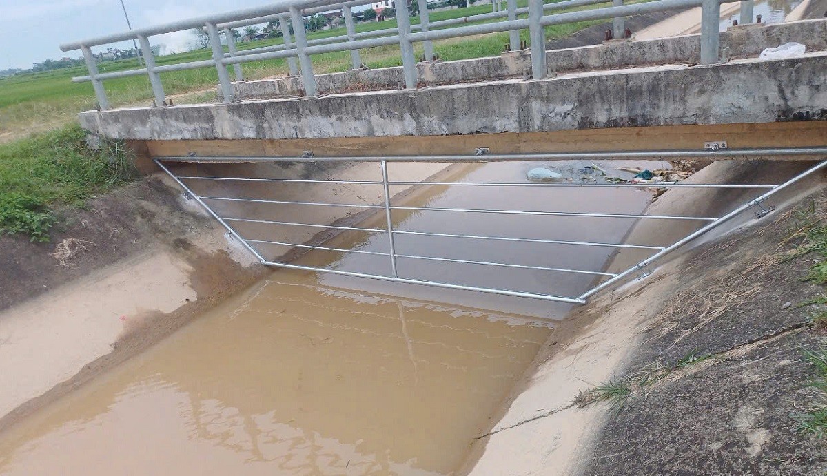 Xác lợn trôi kênh thủy lợi, xã lắp lưới chắn để kịp thời phát hiện, phòng tránh lây lan dịch bệnh