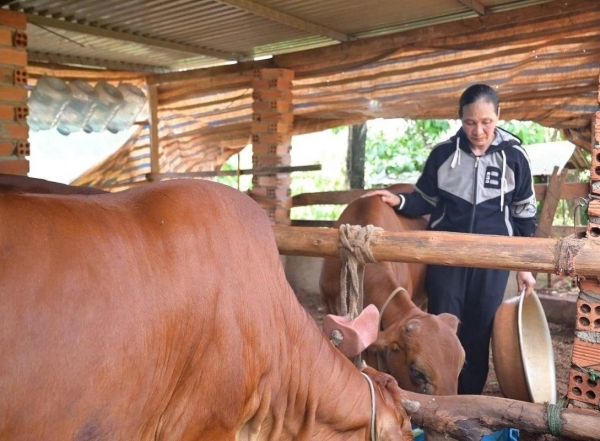 Giảm nghèo đa chiều tại Lâm Đồng: Những chuyển biến tích cực và định hướng phát triển bền vững
