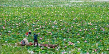 nong nghiep huu co ket hop du lich trai nghiem o hai phong huong di moi day tiem nang