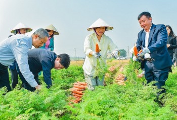 Việt Nam - Hàn Quốc: Thúc đẩy hợp tác song phương trong lĩnh vực nông nghiệp