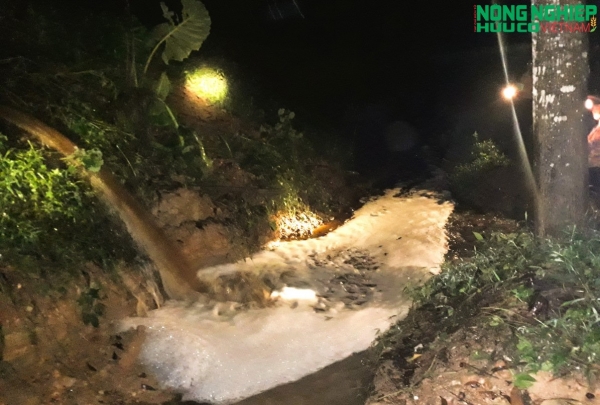 Nghệ An: Người dân dầm mưa, bắt quả tang trang trại lợn xả thải trong đêm