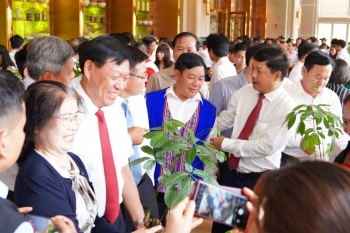 Khởi động “thời kỳ vàng son” sâm Ngọc Linh - Kỳ cuối: Từ rừng già ra thị trường quốc tế