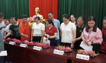 khoi dong du an xay dung quan ly va phat trien nhan hieu tap the thanh long nguyen binh