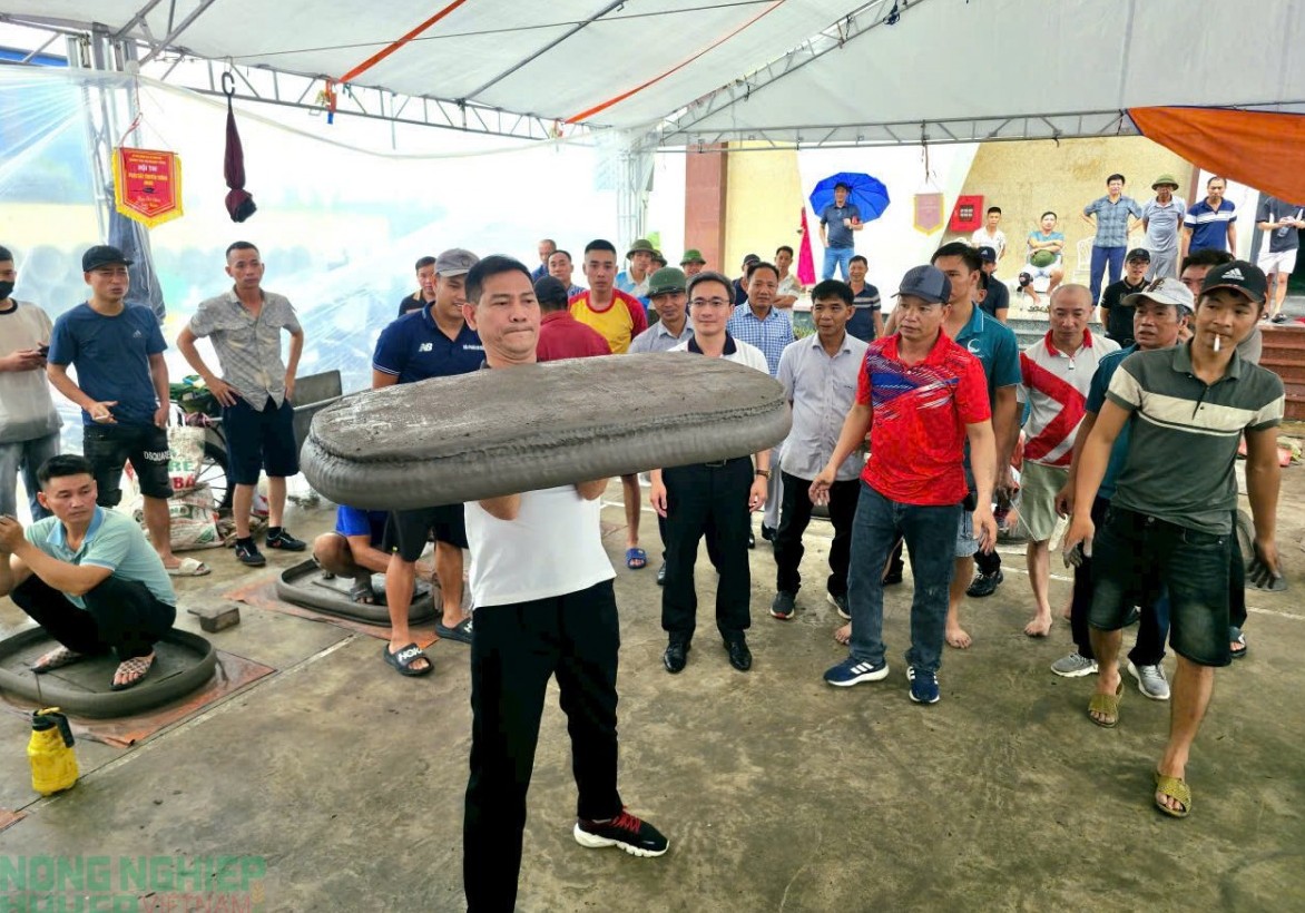 Pháo đất Vĩnh Bảo – Tiếng vang từ ngàn xưa cho đến hiện đại