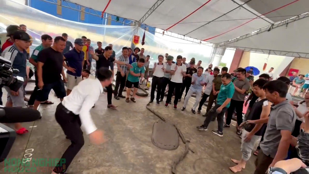 Pháo đất Vĩnh Bảo – Tiếng vang từ ngàn xưa cho đến hiện đại