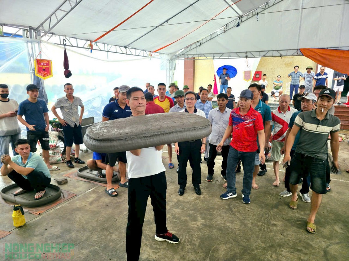 Pháo đất Vĩnh Bảo – Tiếng vang từ ngàn xưa cho đến hiện đại