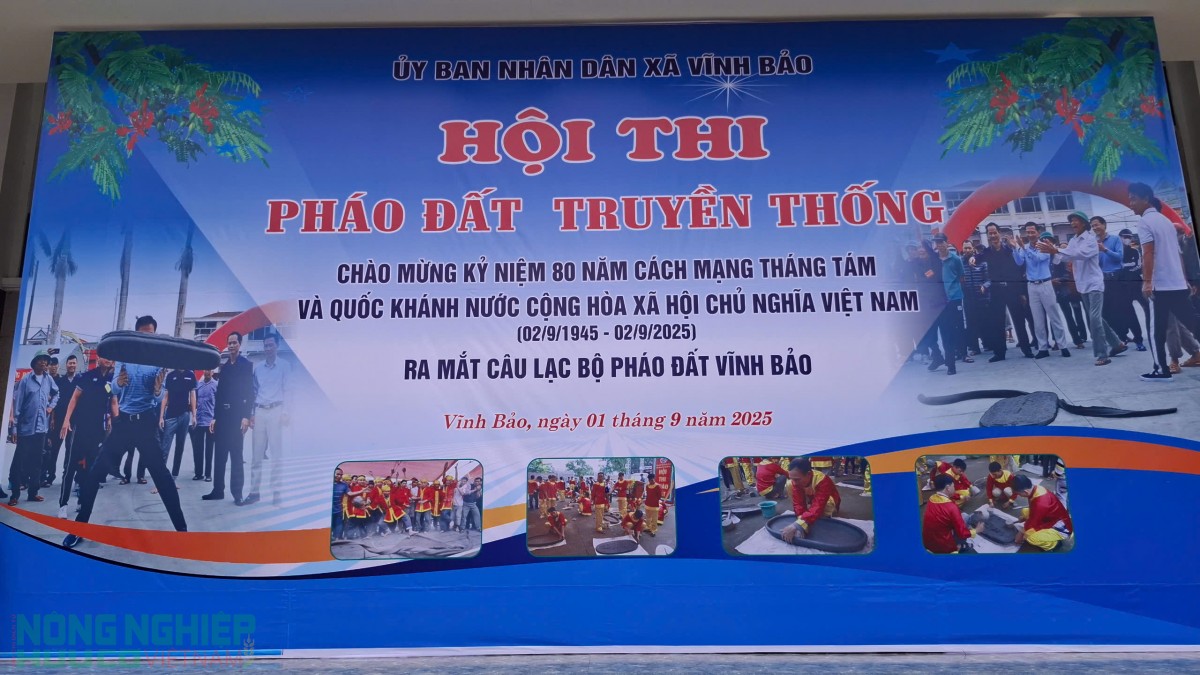 Pháo đất Vĩnh Bảo – Tiếng vang từ ngàn xưa cho đến hiện đại