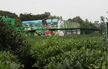 Thực trạng và tiềm năng phát triển nông nghiệp hữu cơ Việt Nam