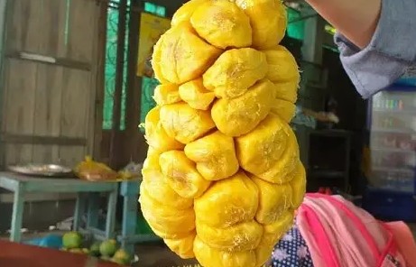Mít Tố Nữ Long Khánh - loại quả đặc trưng của vùng đất đỏ Đông Nam Bộ