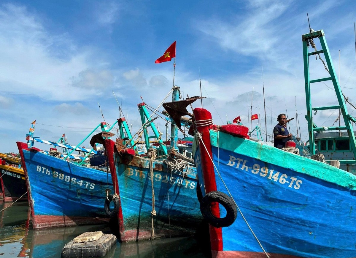 Gia Lai: Quản lý chặt chẽ tàu cá và ngăn chặn triệt để hành vi vi phạm IUU