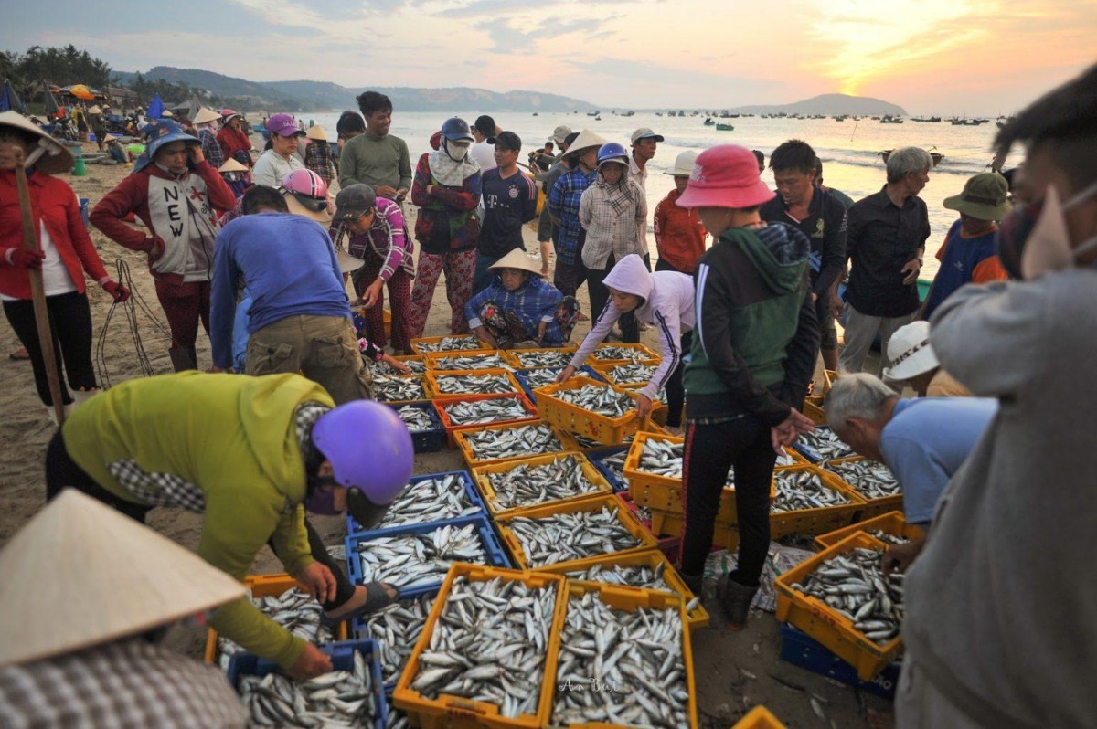 Trải nghiệm làng chài bình yên đẹp như tranh vẽ xứ Đà thành