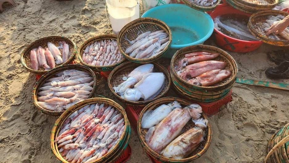 Trải nghiệm làng chài bình yên đẹp như tranh vẽ xứ Đà thành
