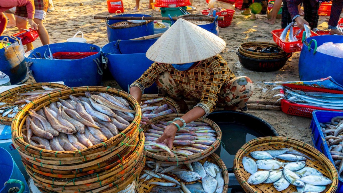 Trải nghiệm làng chài bình yên đẹp như tranh vẽ xứ Đà thành