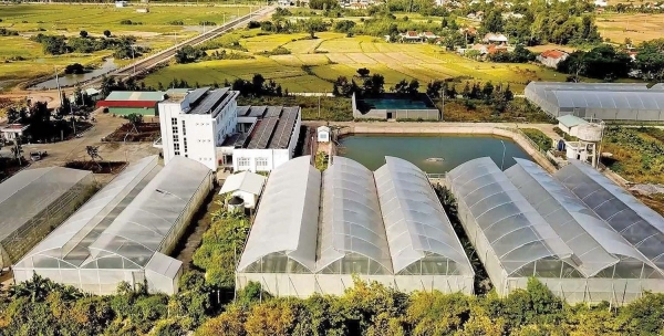 Đắk Lắk đẩy mạnh ứng dụng khoa học, công nghệ và đổi mới sáng tạo trong nông nghiệp