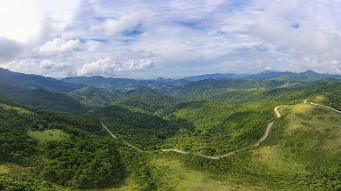 Quảng Ninh: Tháo gỡ những khó khăn, tạo động lực phát triển lâm nghiệp