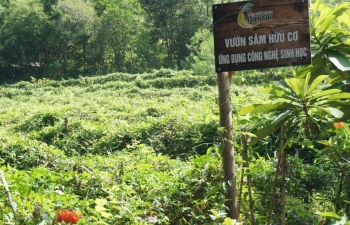 Lợi ích vô hình và hữu hình của nông nghiệp hữu cơ