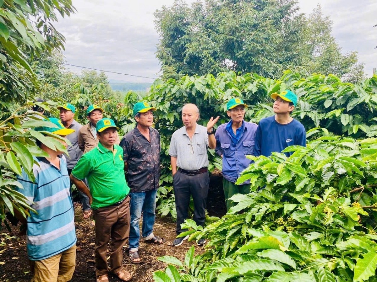 Tại sao cần canh tác cà phê thông minh?