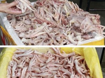 Nghệ An: Kiểm tra kho đông lạnh, phát hiện hàng nghìn chân gà không rõ nguồn gốc