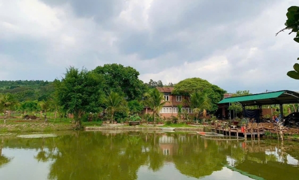 Tăng cường giải pháp điều hòa nguồn nước, phòng chống ngập úng và bảo vệ môi trường