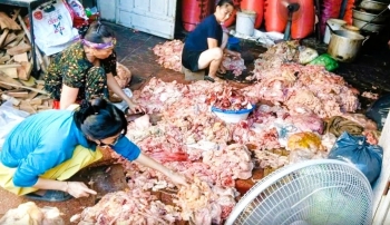 Nghệ An: Đảm bảo an toàn thực phẩm dịp Tết nguyên đán Bính Ngọ và mùa lễ hội Xuân 2026