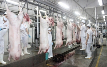 Xử phạt trường hợp vi phạm lưu giữ động vật chứa chất cấm sử dụng trong chăn nuôi, nuôi trồng thủy sản