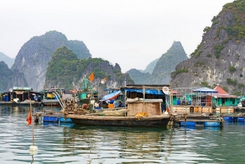 hai phong do bo lenh cam hoat dong cua song ven bien sau khi bao so 11 suy yeu