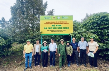 Hệ thống canh tác cà phê thông minh - Vai trò tích hợp của công nghệ và phân bón