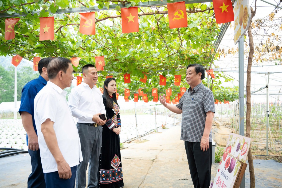 Bon Bon Farm - Mô hình nông nghiệp gắn với du lịch trải nghiệm tiêu biểu trên cao nguyên Mộc Châu