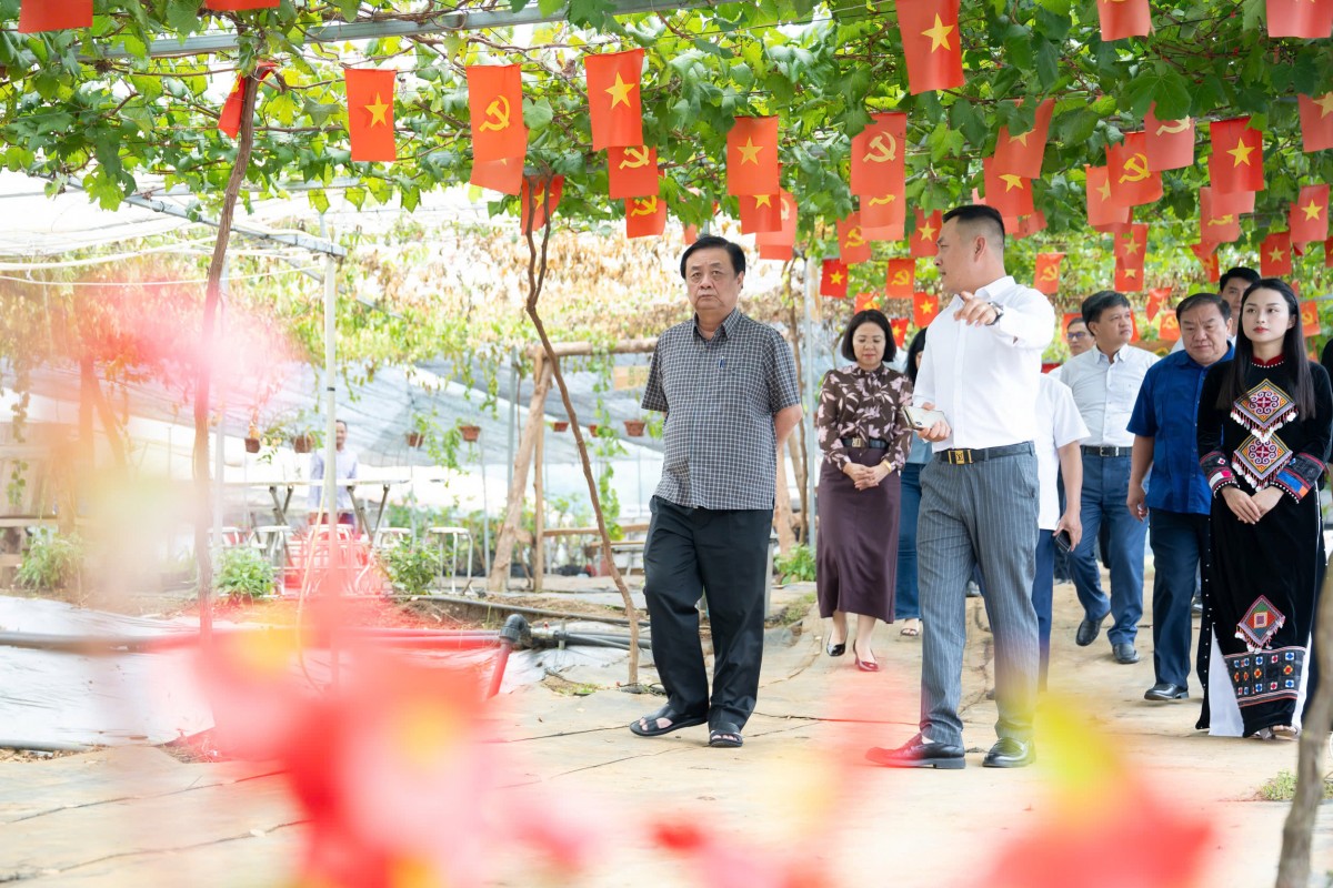 Bon Bon Farm - Mô hình nông nghiệp gắn với du lịch trải nghiệm tiêu biểu trên cao nguyên Mộc Châu