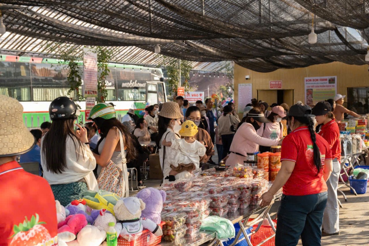 Bon Bon Farm - Mô hình nông nghiệp gắn với du lịch trải nghiệm tiêu biểu trên cao nguyên Mộc Châu