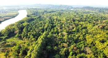 Lâm Đồng: Yêu cầu cập nhật diễn biến rừng năm 2025