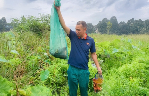 Mùa đánh đó cá rô Tổng Trường - hồn quê trong mỗi mẻ cá