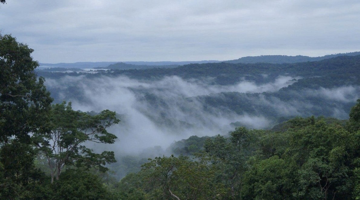 Lâm Đồng triển khai quy hoạch bảo vệ môi trường: Hướng tới phát triển bền vững, hài hòa với thiên nhiên
