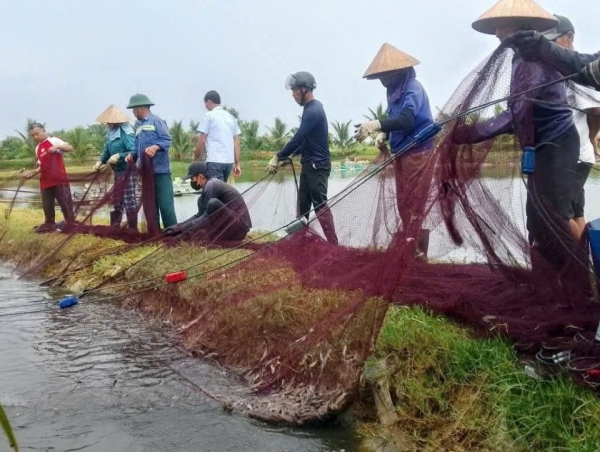 Quảng Trị: Đa dạng hoá các mô hình nuôi trồng thuỷ hải sản