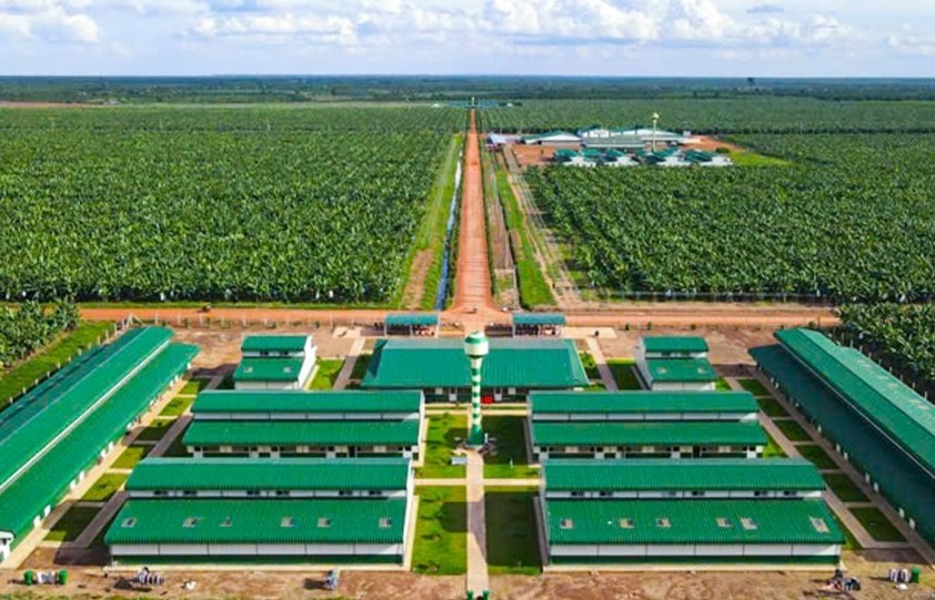 Điểm qua thành tựu sản xuất Nông nghiệp Hữu cơ ở Việt Nam